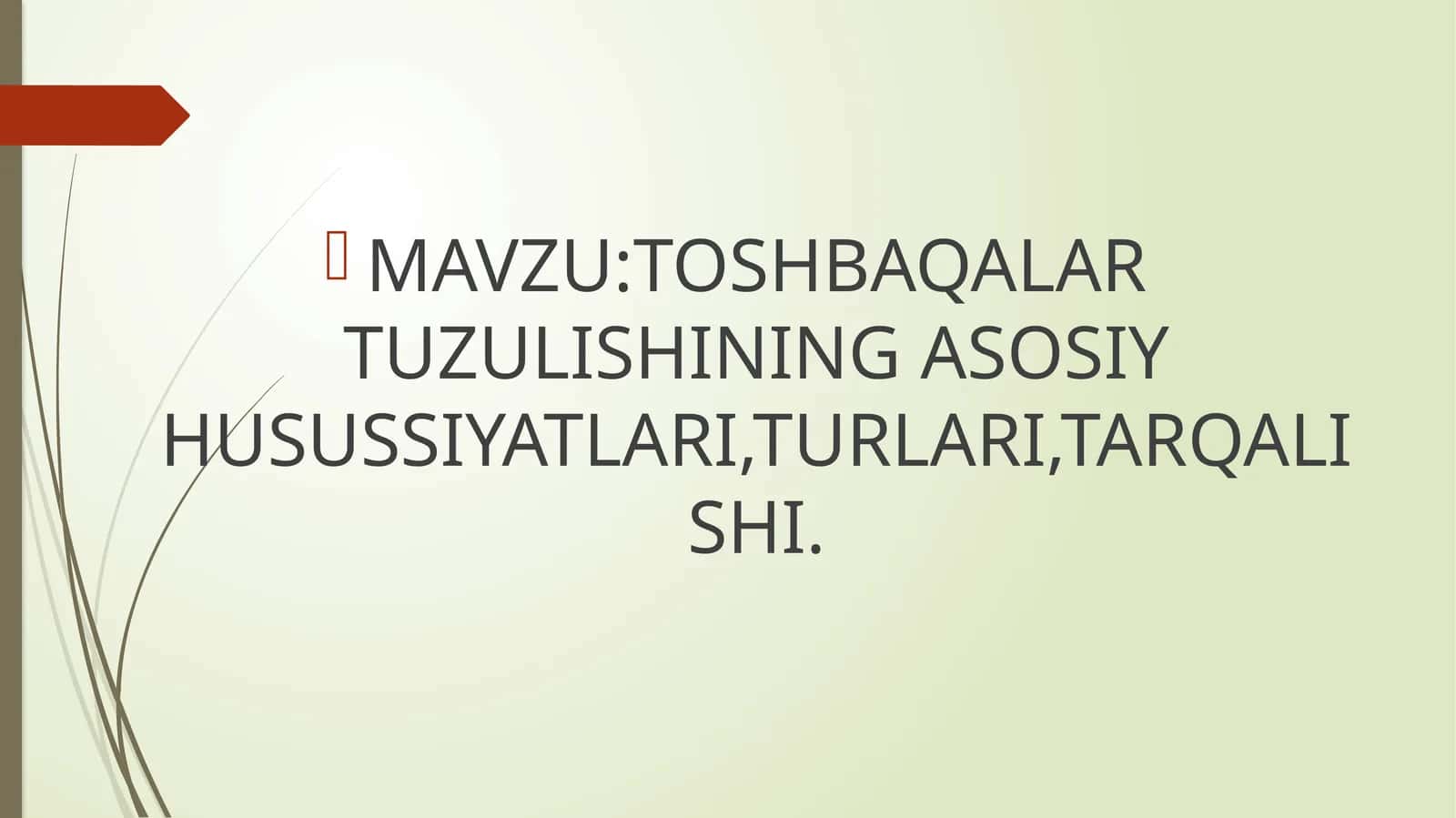 TOSHBAQALAR TUZULISHINING ASOSIY HUSUSSIYATLARI,TURLARI,TARQALISHI
