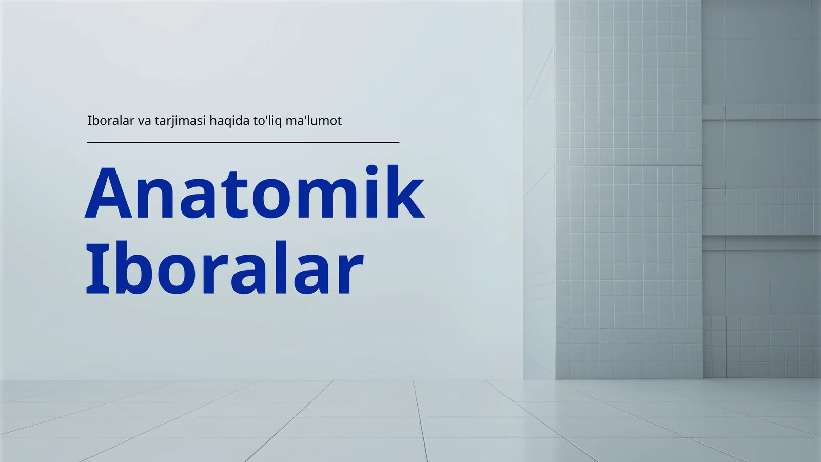 Anatomik Iboralar