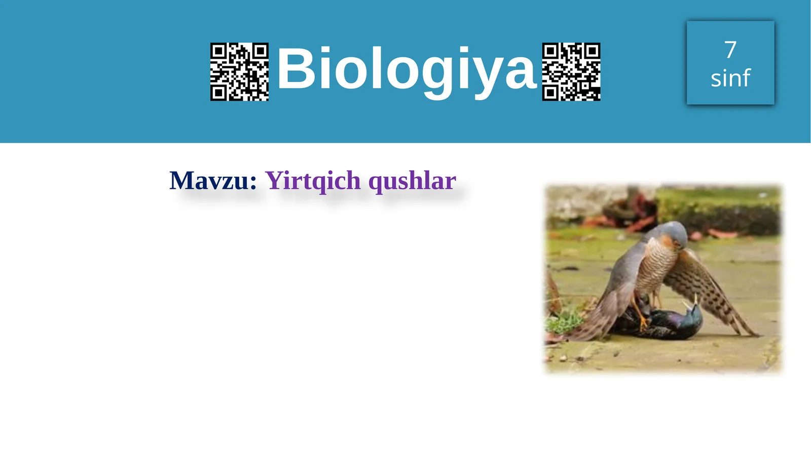 Yirtqichqushlar