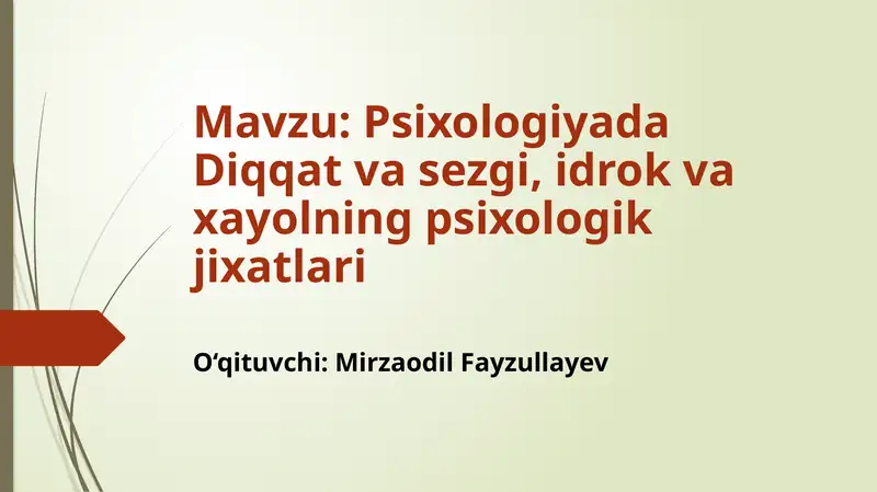 Psixologiyada Diqqat va Sezgi