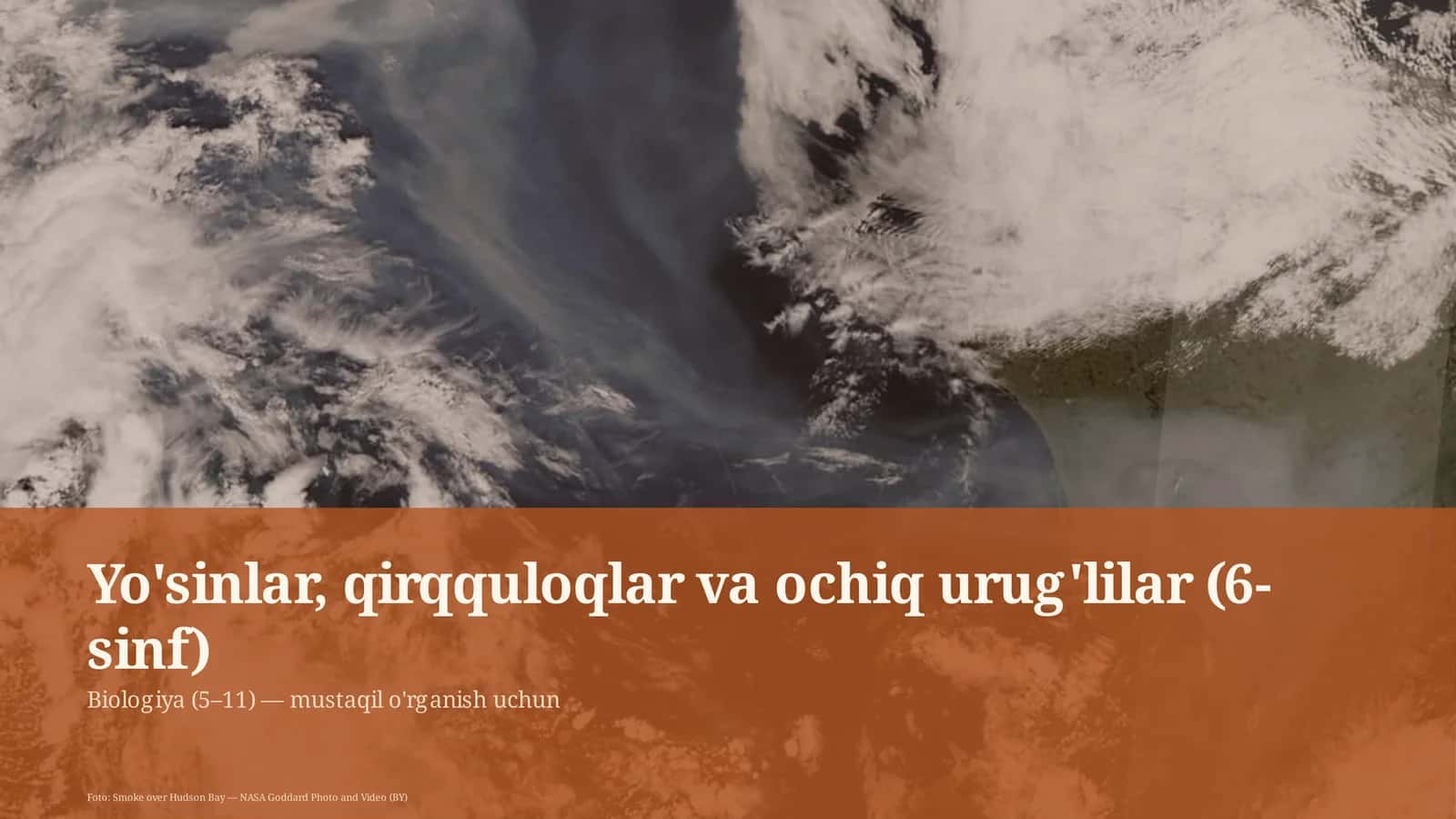 Yo'sinlar, qirqquloqlar va ochiq urug'lilar (6-sinf)