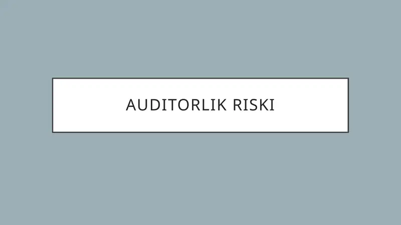 Auditorlik riski