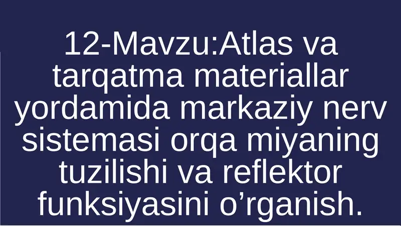 Atlas vatarqatmamateriallaryordamidamarkaziynervsistemasiorqamiyaningtuzilishivareflektorfunksiyasinio’rganish