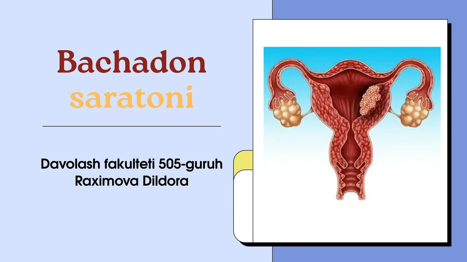 Bachadon saratoni