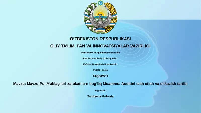 Pul Mablag'lari Harakati Auditi