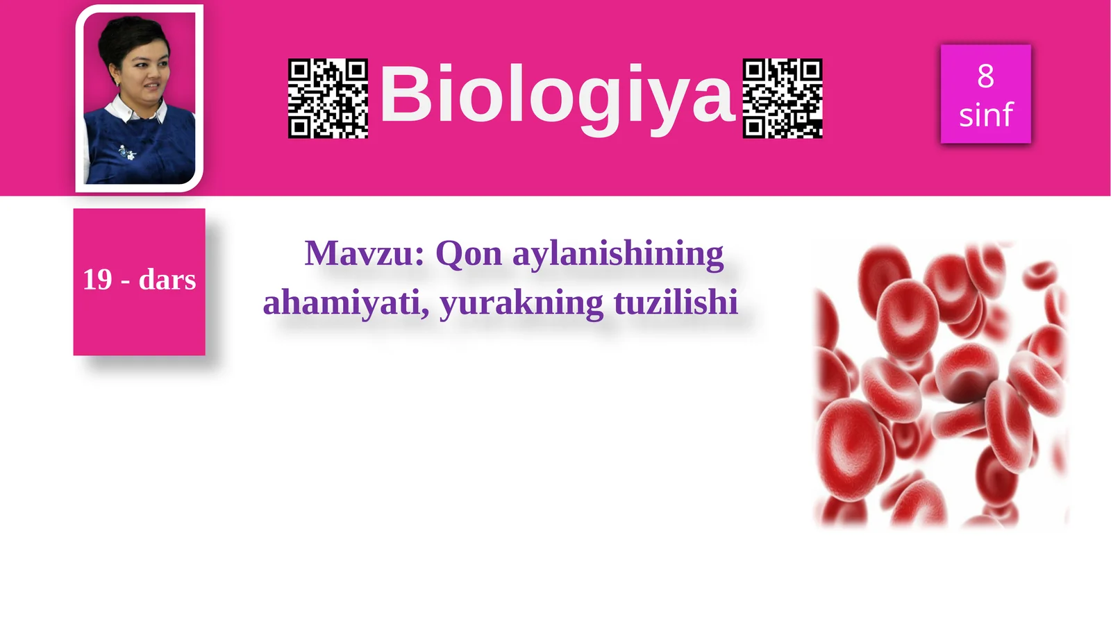 Qon aylanishining ahamiyati, yurakning tuzilishi