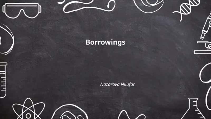 Borrowings
