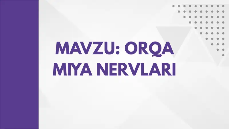 ORQA MIYA NERVLARI