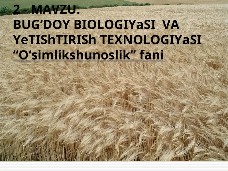 BUG‘DOY BIOLOGIYaSI VA YeTIShTIRISh TEXNOLOGIYaSI