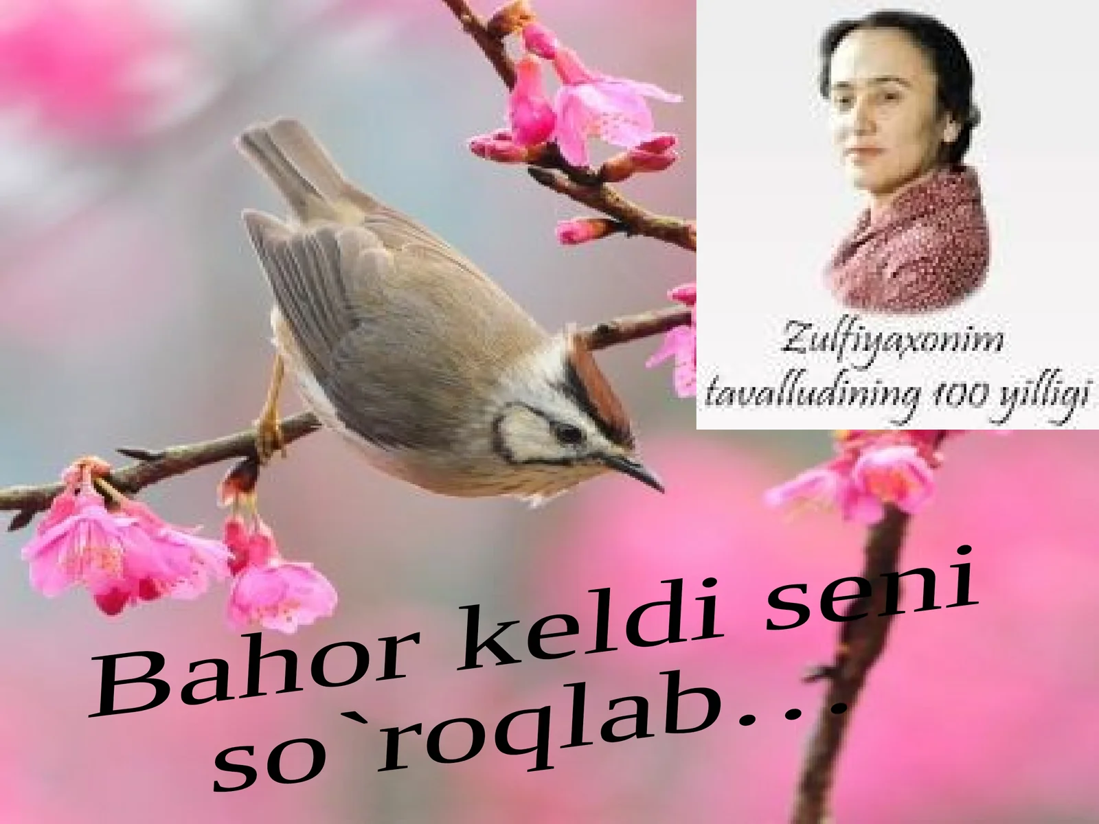 Zulfiyahayoti va ijodi