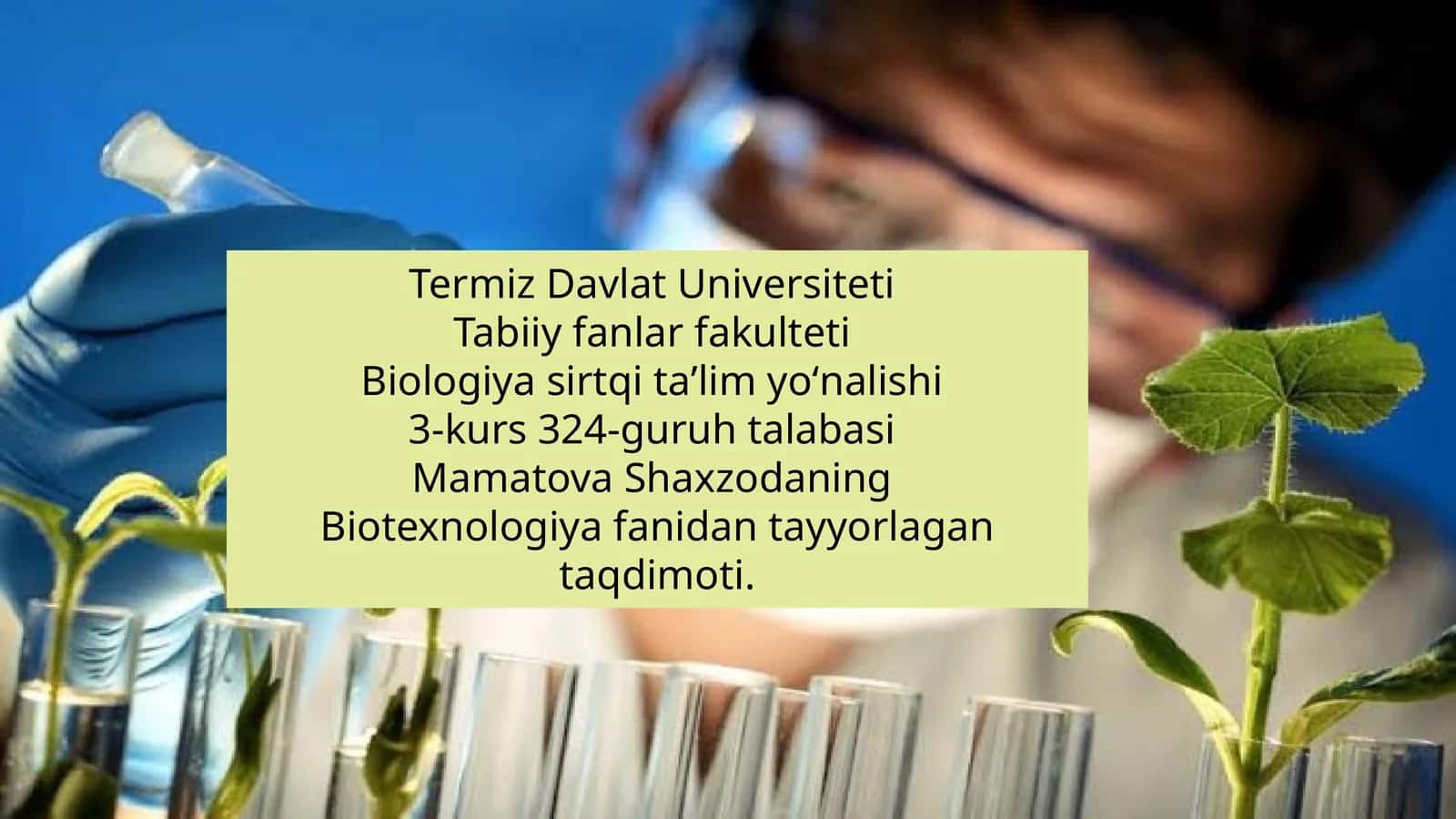 Mahalliy o‘simliklardan biologik faol modda (efir moyi, alkaloid, flavonoid) ajratish texnologiyasi