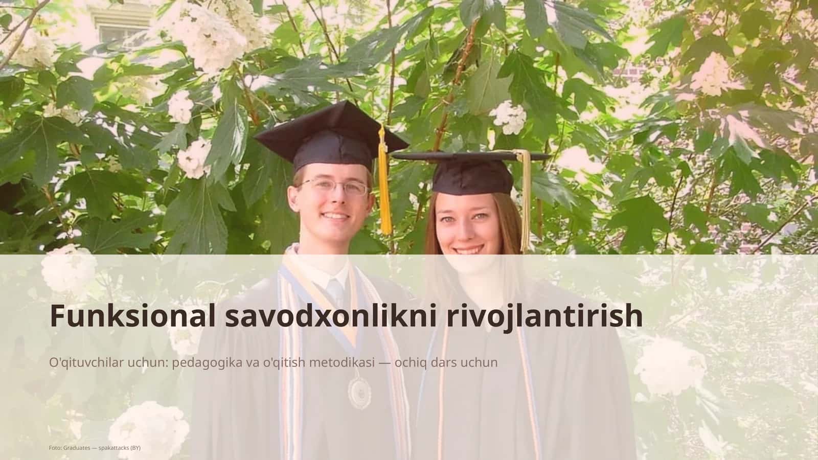 Funksional savodxonlikni rivojlantirish