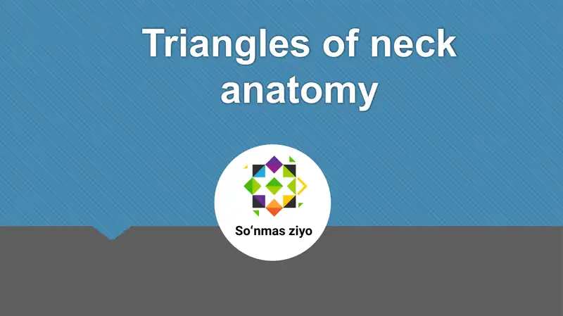 Triangles of neck anatomy