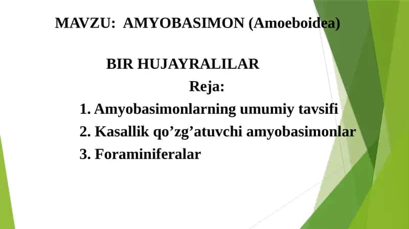 Amyobasimon (Amoeboidea)