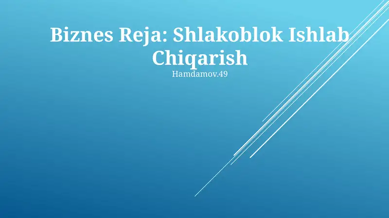 Biznes Reja: Shlakoblok Ishlab Chiqarish
