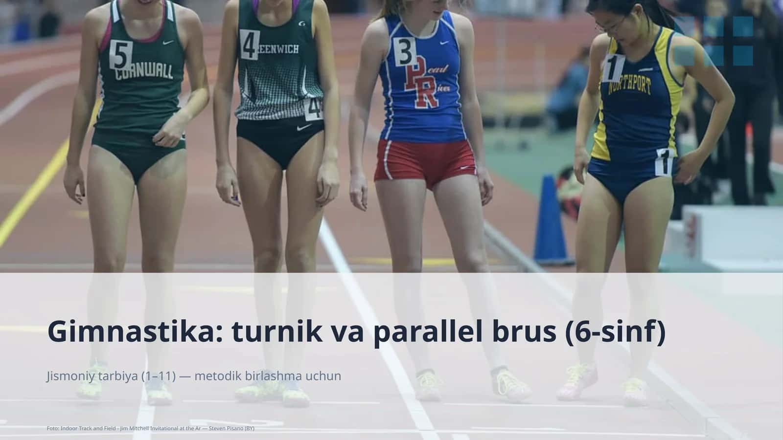 Gimnastika: turnik va parallel brus (6-sinf)