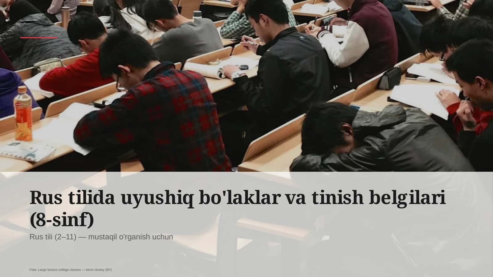 Rus tilida uyushiq bo'laklar va tinish belgilari (8-sinf)