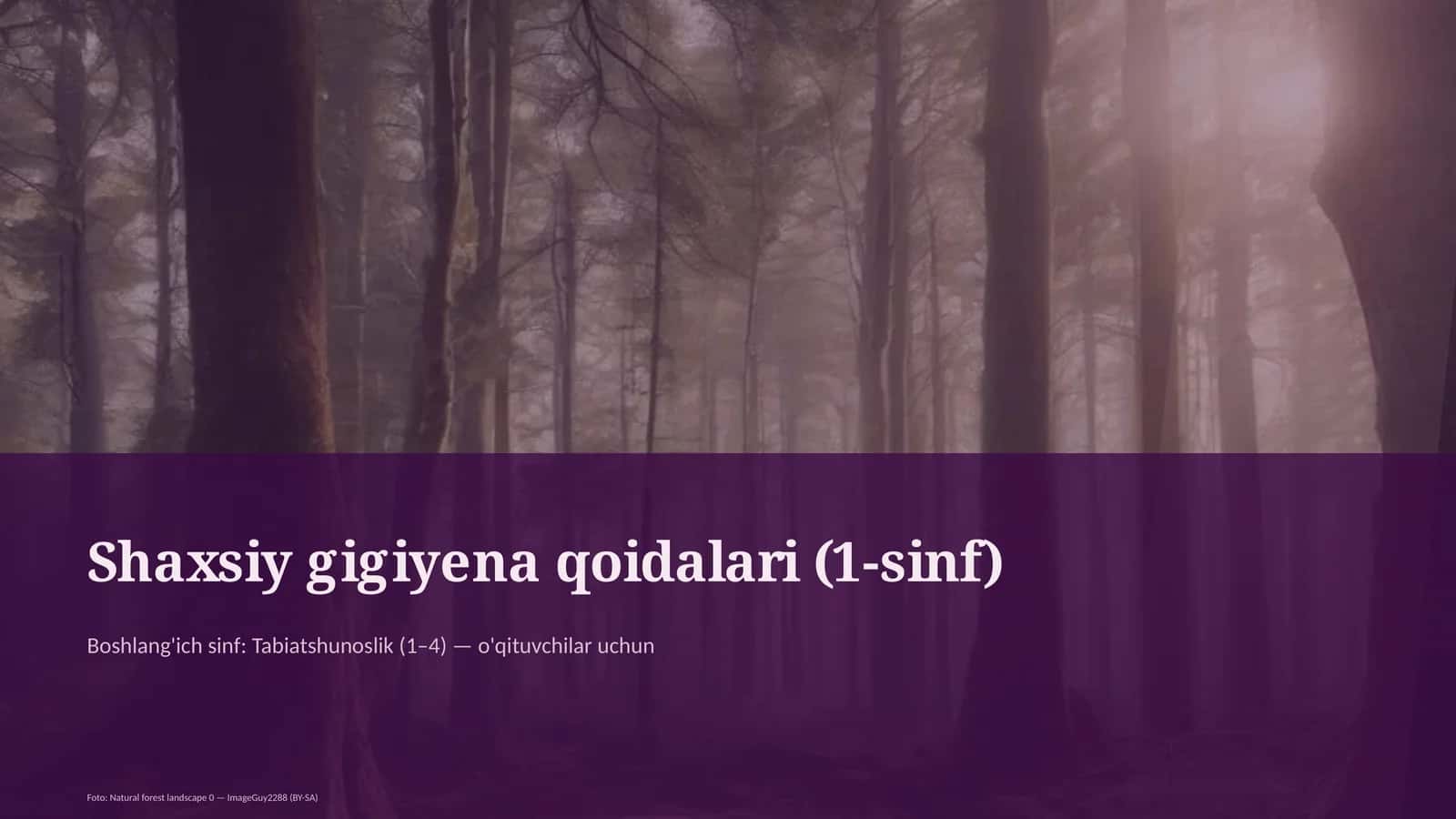 Shaxsiy gigiyena qoidalari (1-sinf)