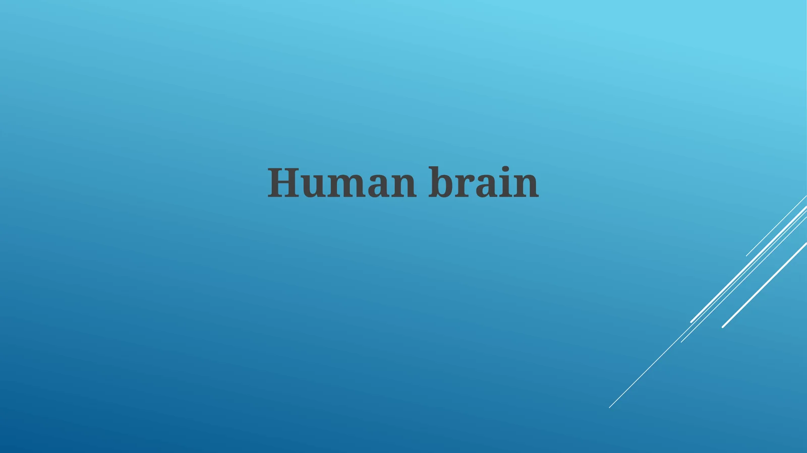 Human brain