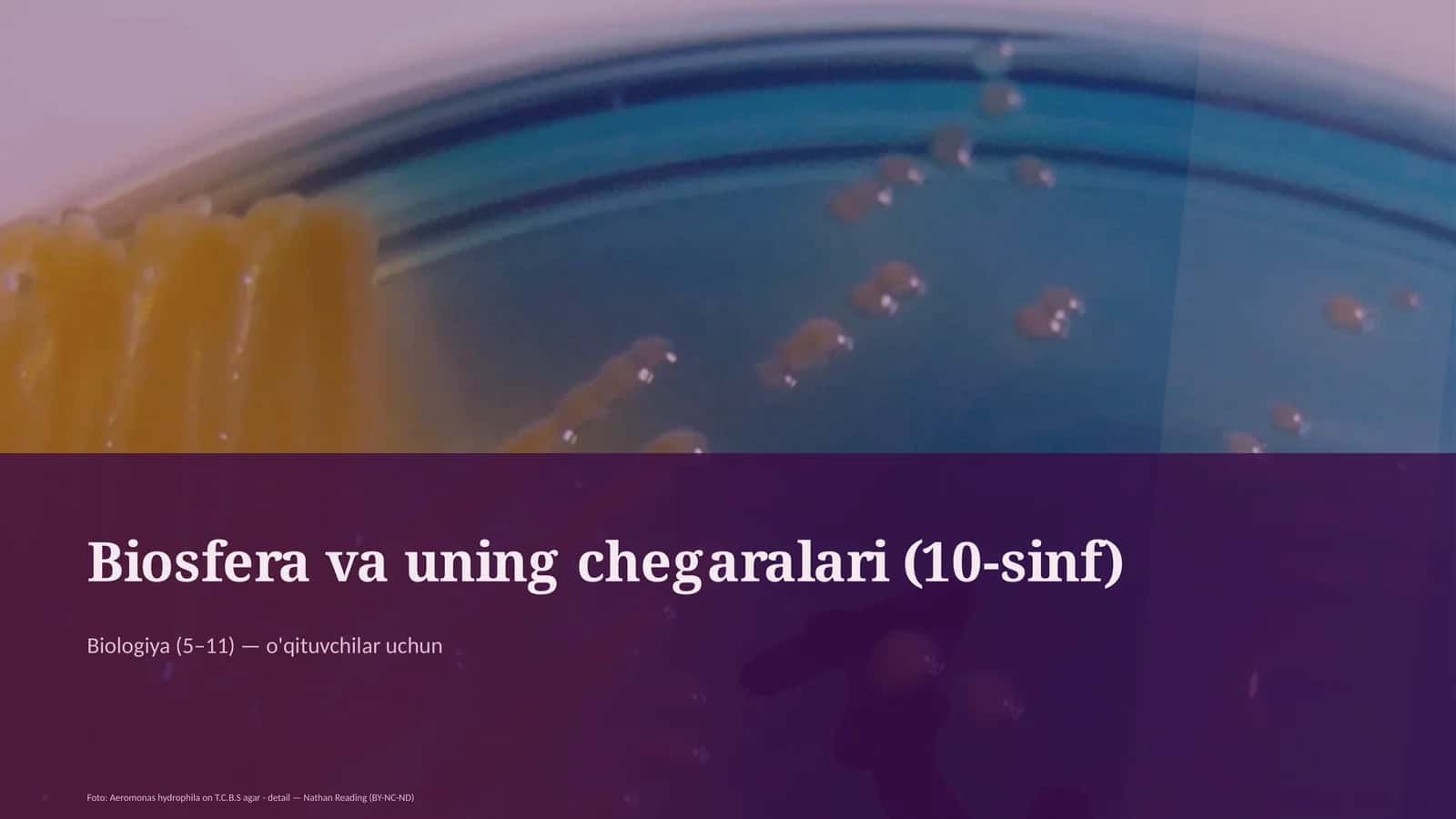 Biosfera va uning chegaralari (10-sinf)
