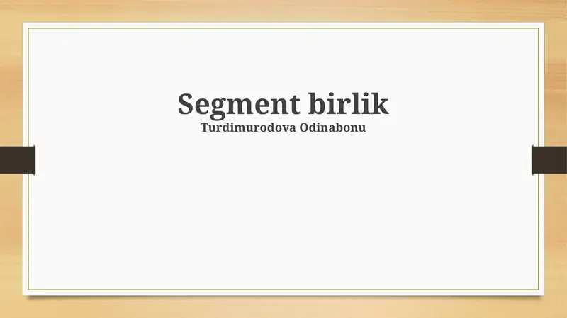 Segment birlik