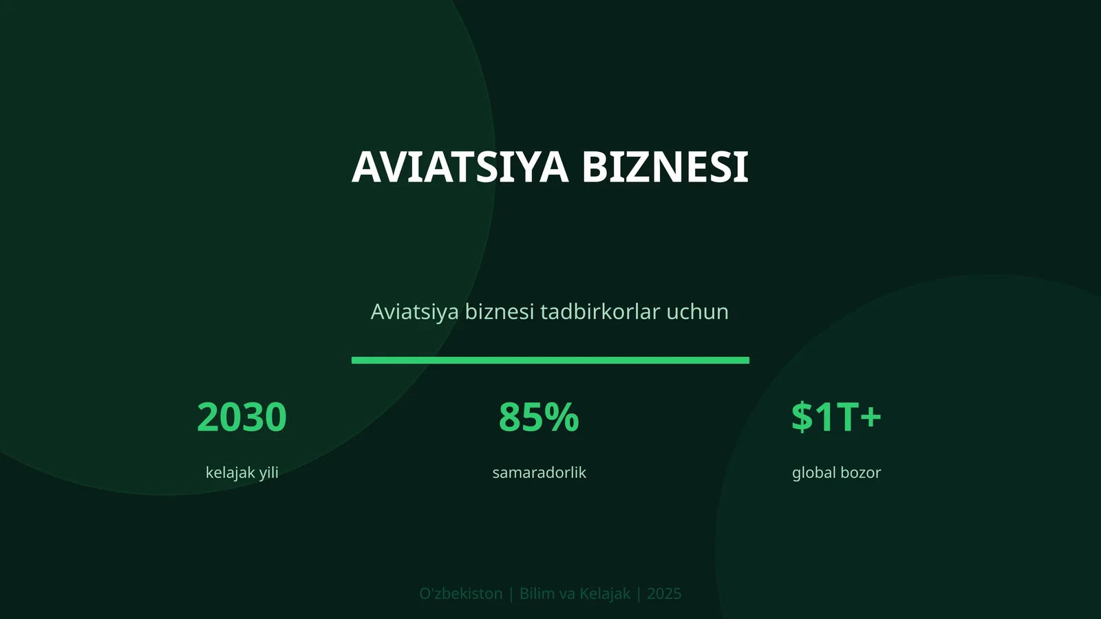 Aviatsiya biznesi