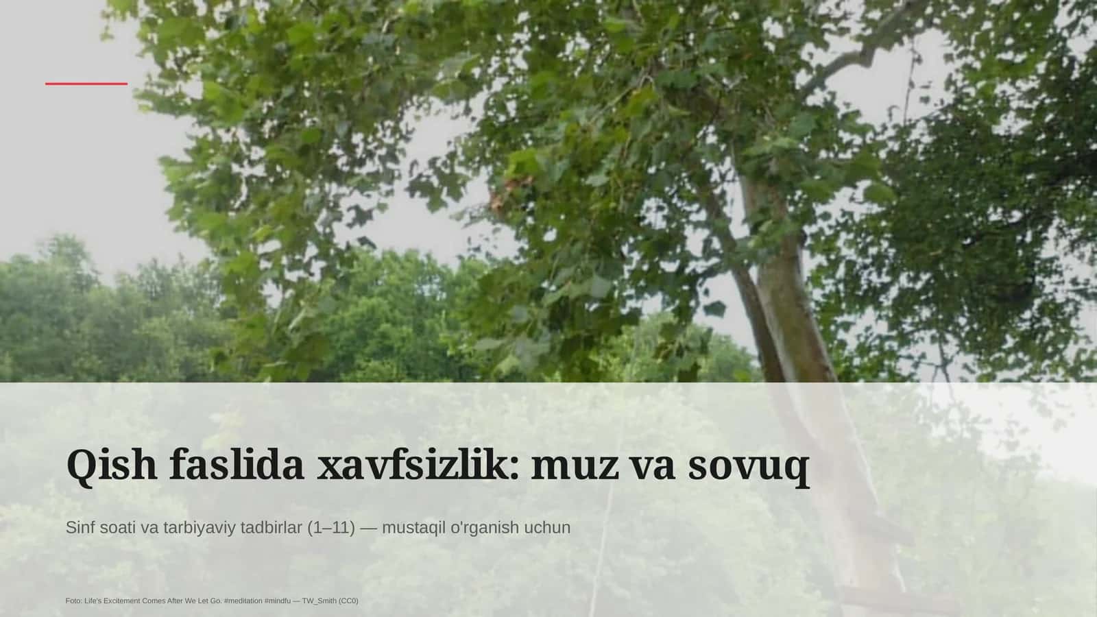 Qish faslida xavfsizlik: muz va sovuq