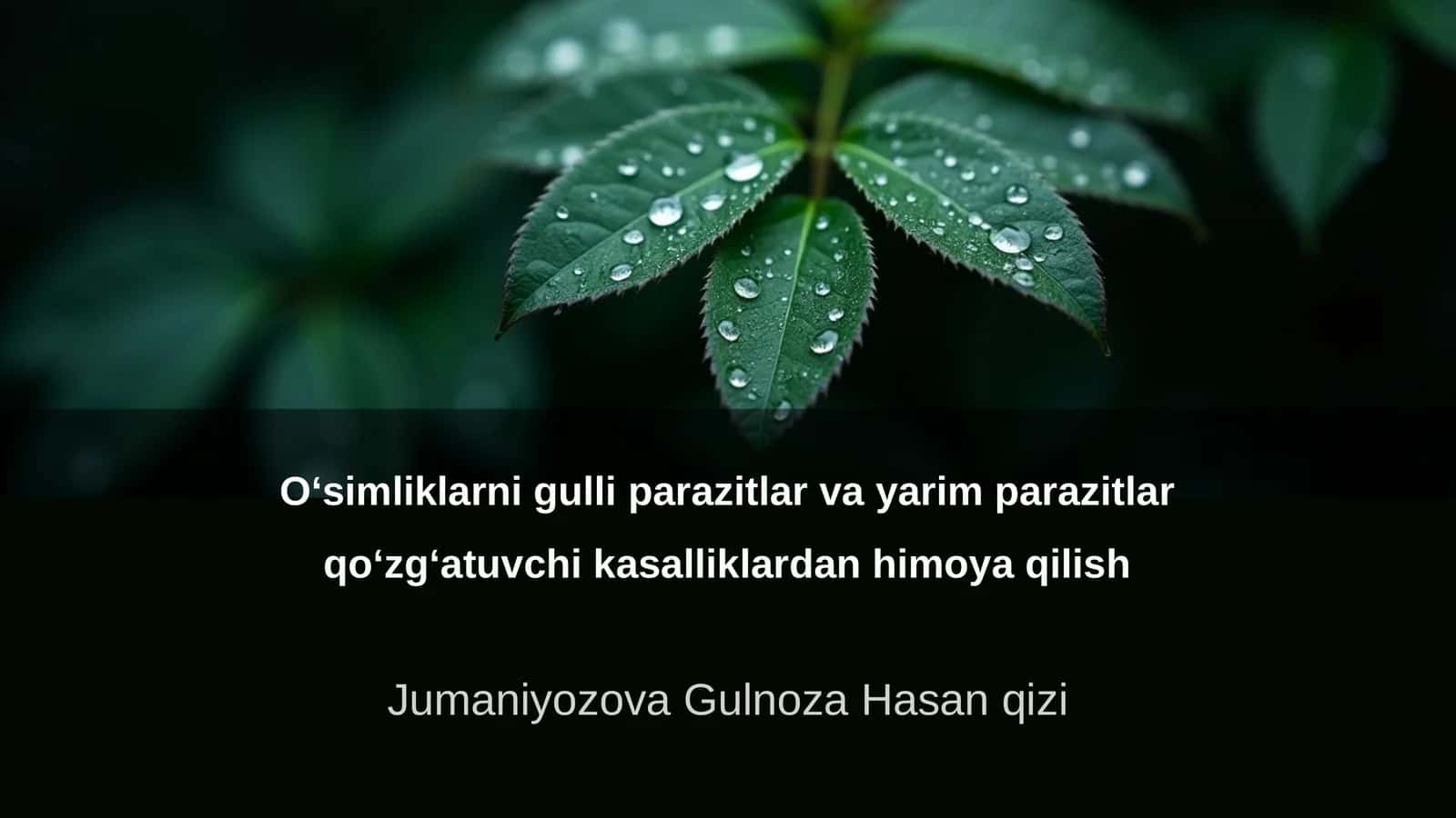 O‘simliklarni gulli parazitlar va yarim parazitlar qo‘zg‘atuvchi kasalliklardan himoya qilish