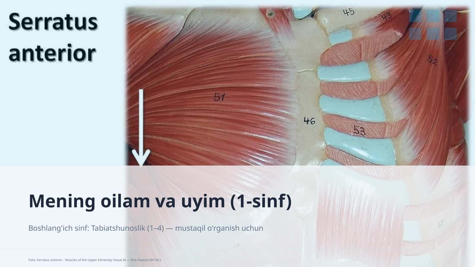 Mening oilam va uyim (1-sinf)