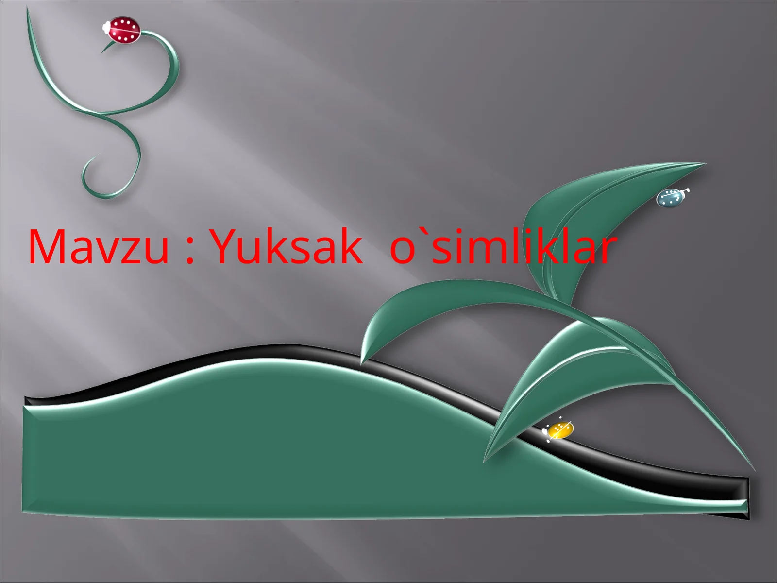 Yuksak o`simliklar
