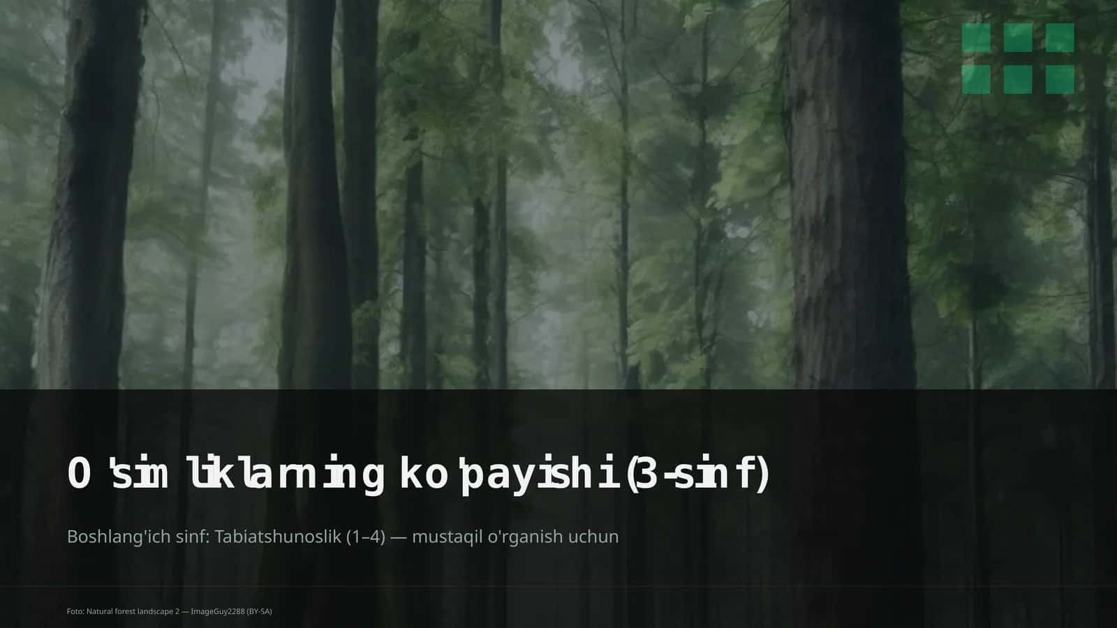 O'simliklarning ko'payishi (3-sinf)
