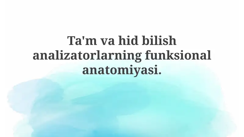 Ta'mvahidbilish analizatorlarning funksional anatomiyasi