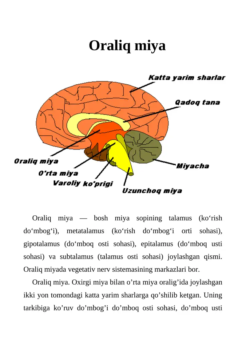 Oraliq miya