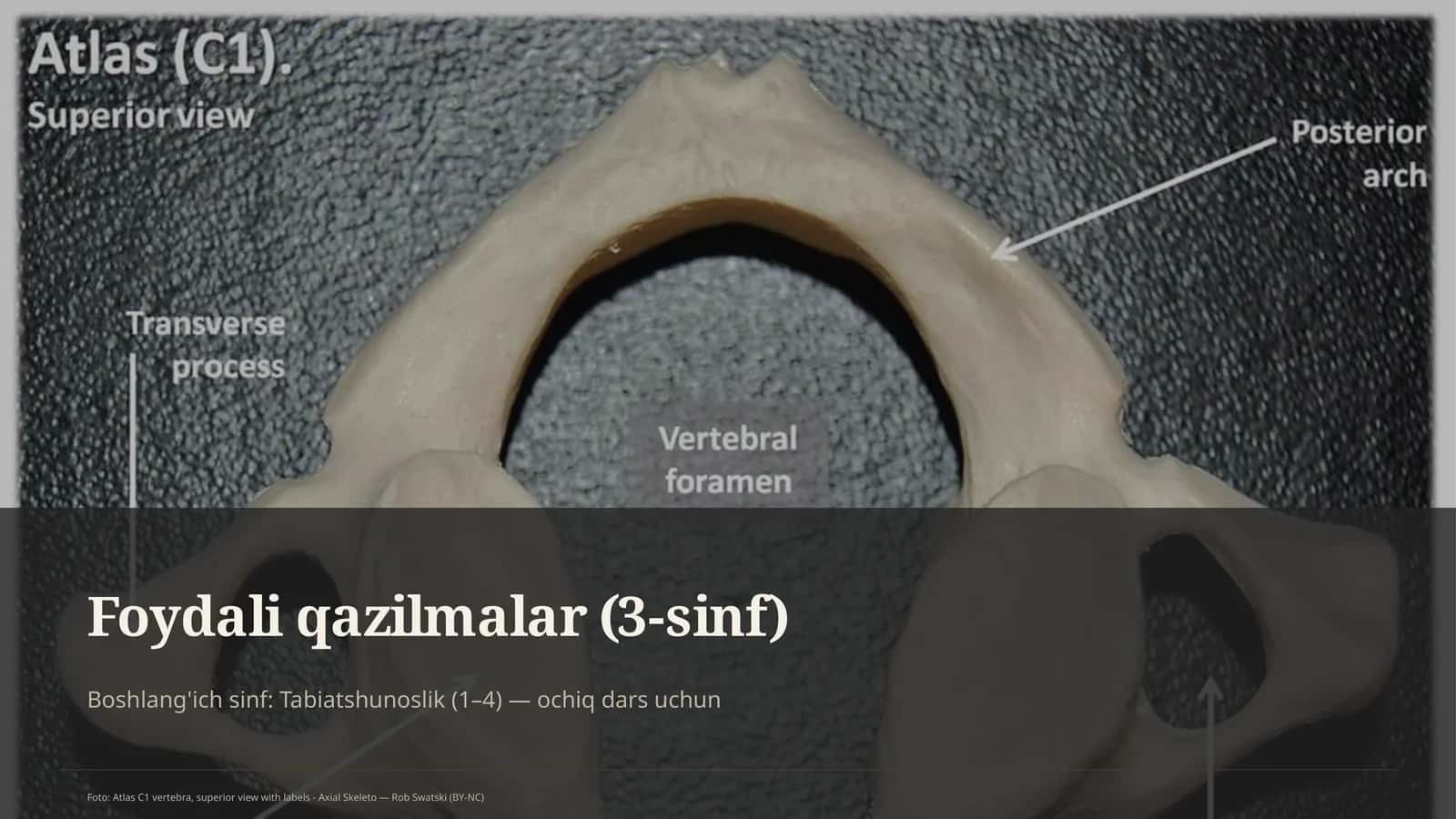 Foydali qazilmalar (3-sinf)