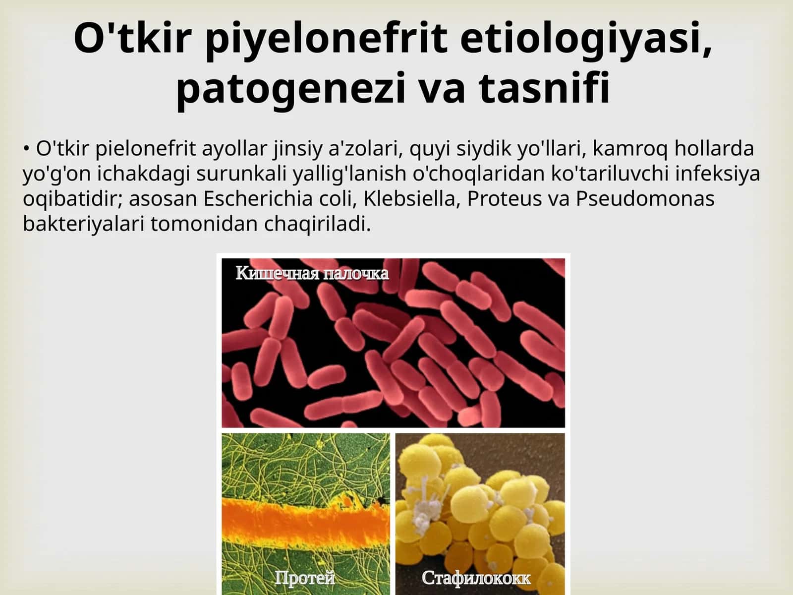 O'tkir piyelonefrit etiologiyasi, patogenezi va tasnifi