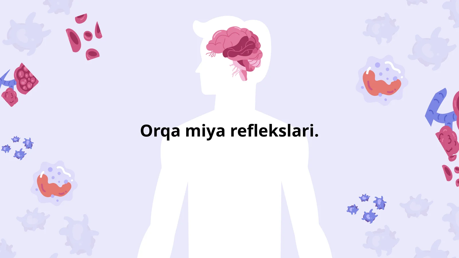Orqa miya reflekslari