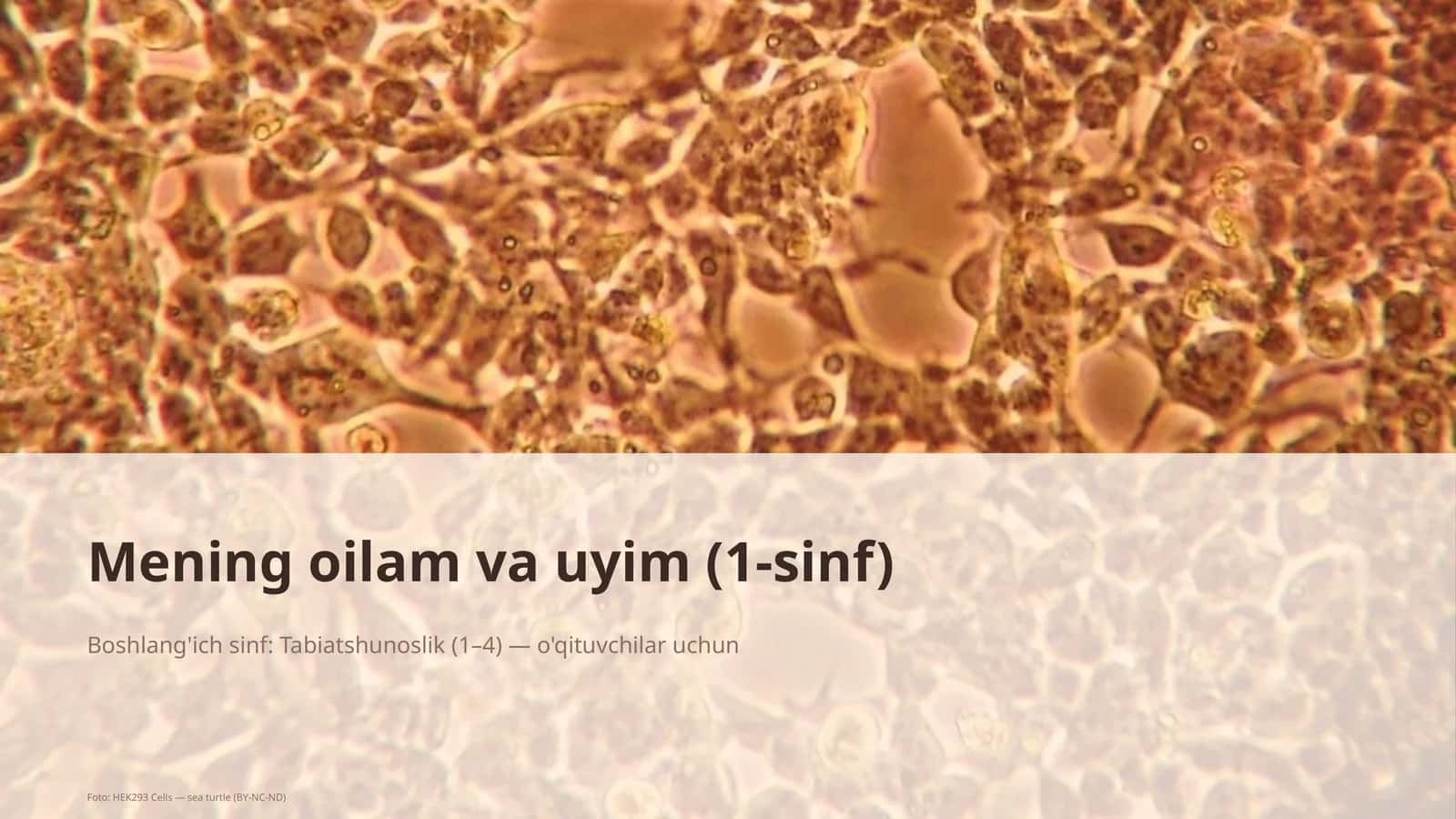 Mening oilam va uyim (1-sinf)