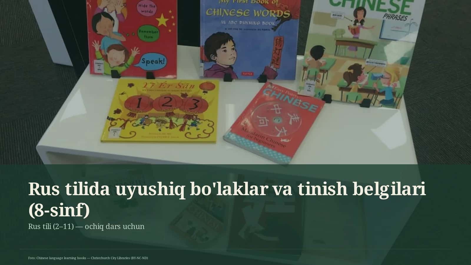 Rus tilida uyushiq bo'laklar va tinish belgilari (8-sinf)