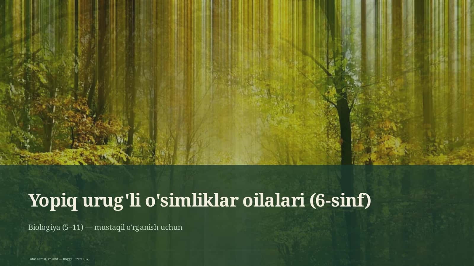 Yopiq urug'li o'simliklar oilalari (6-sinf)