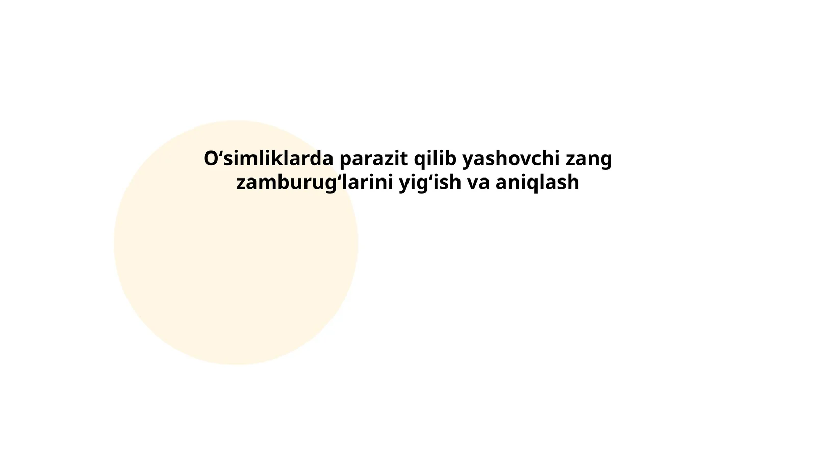 Zang zamburugʻlarning biologik xususiyatlari
