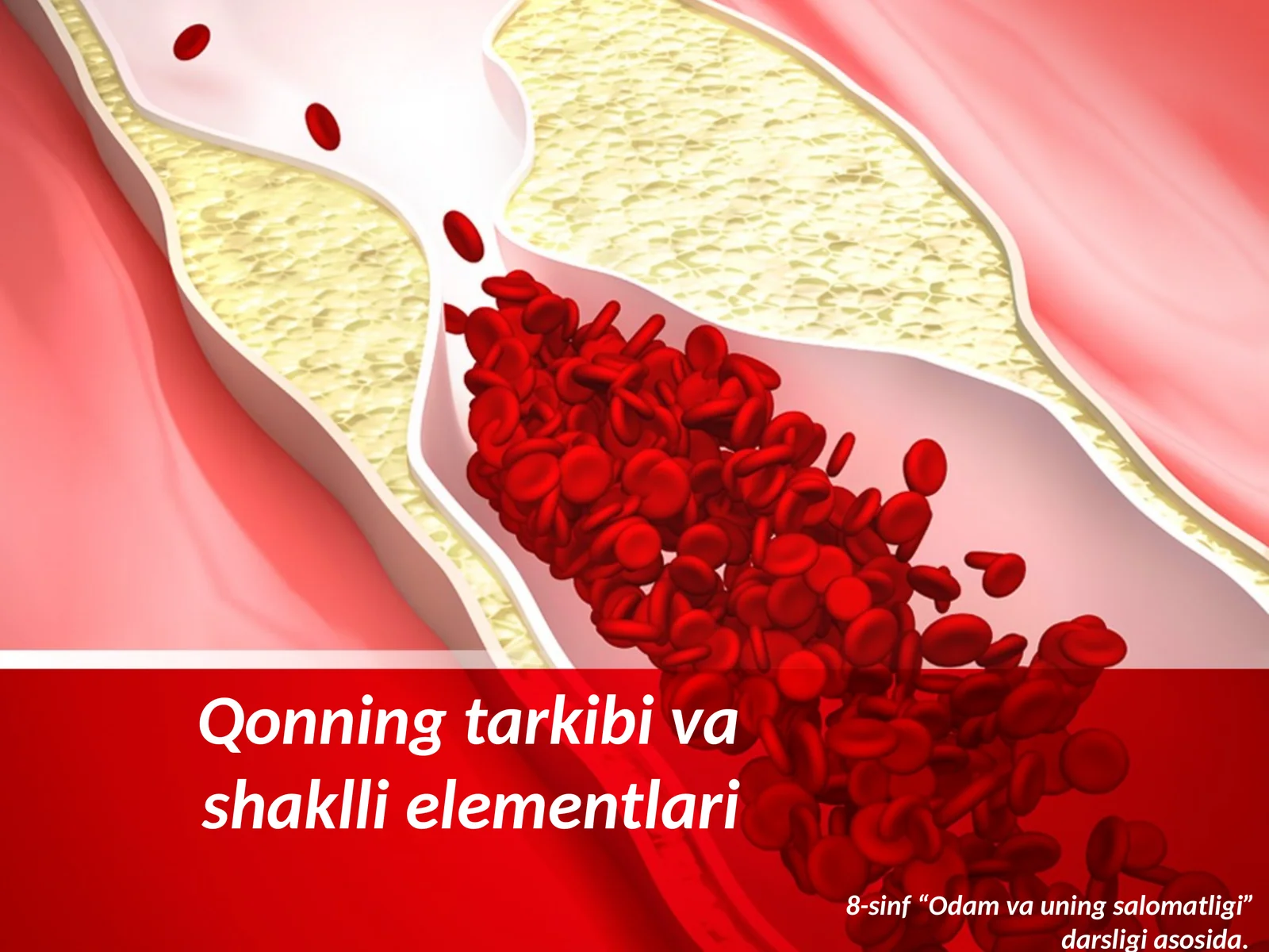 Qonning tarkibi va shaklli elementlari