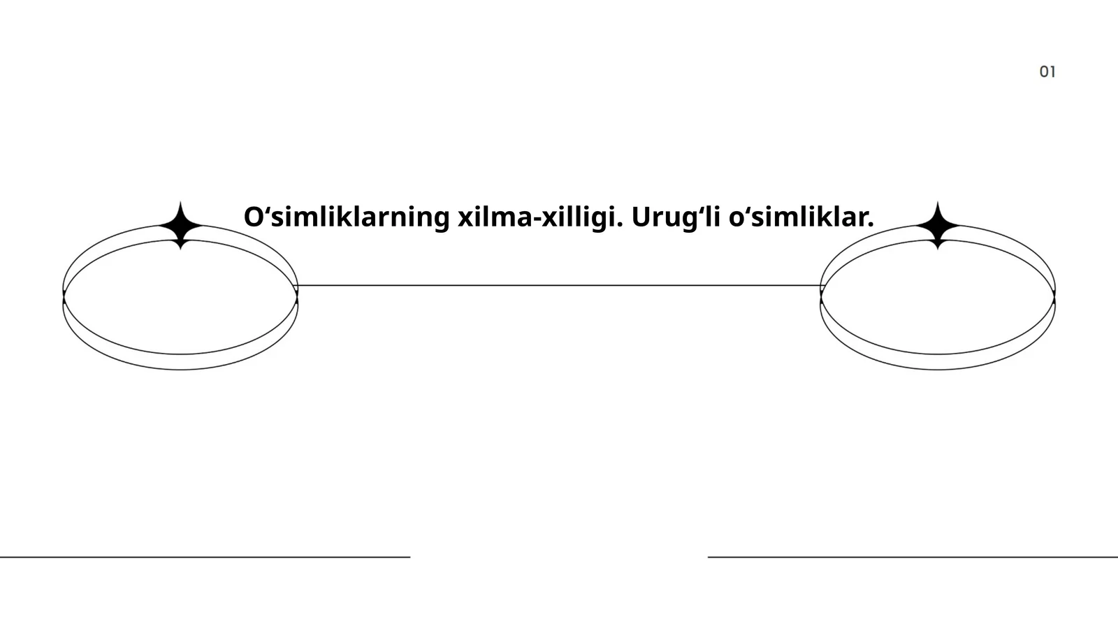 Urug'li o'simliklar dunyoda