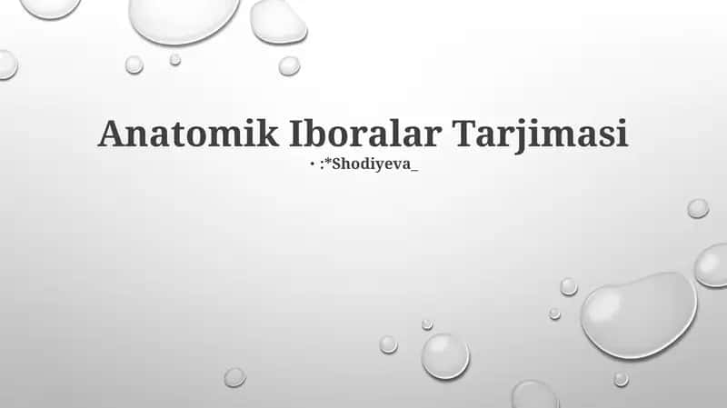 Anatomik Iboralar Tarjimasi