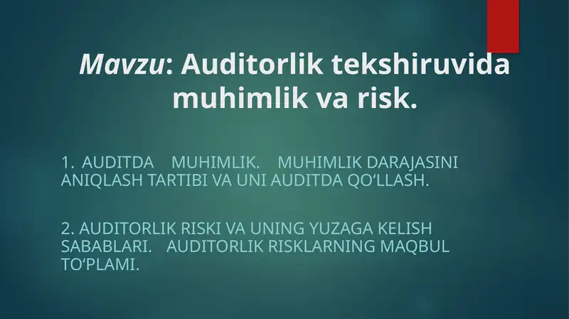 Audit faoliyati milliy standartlari
