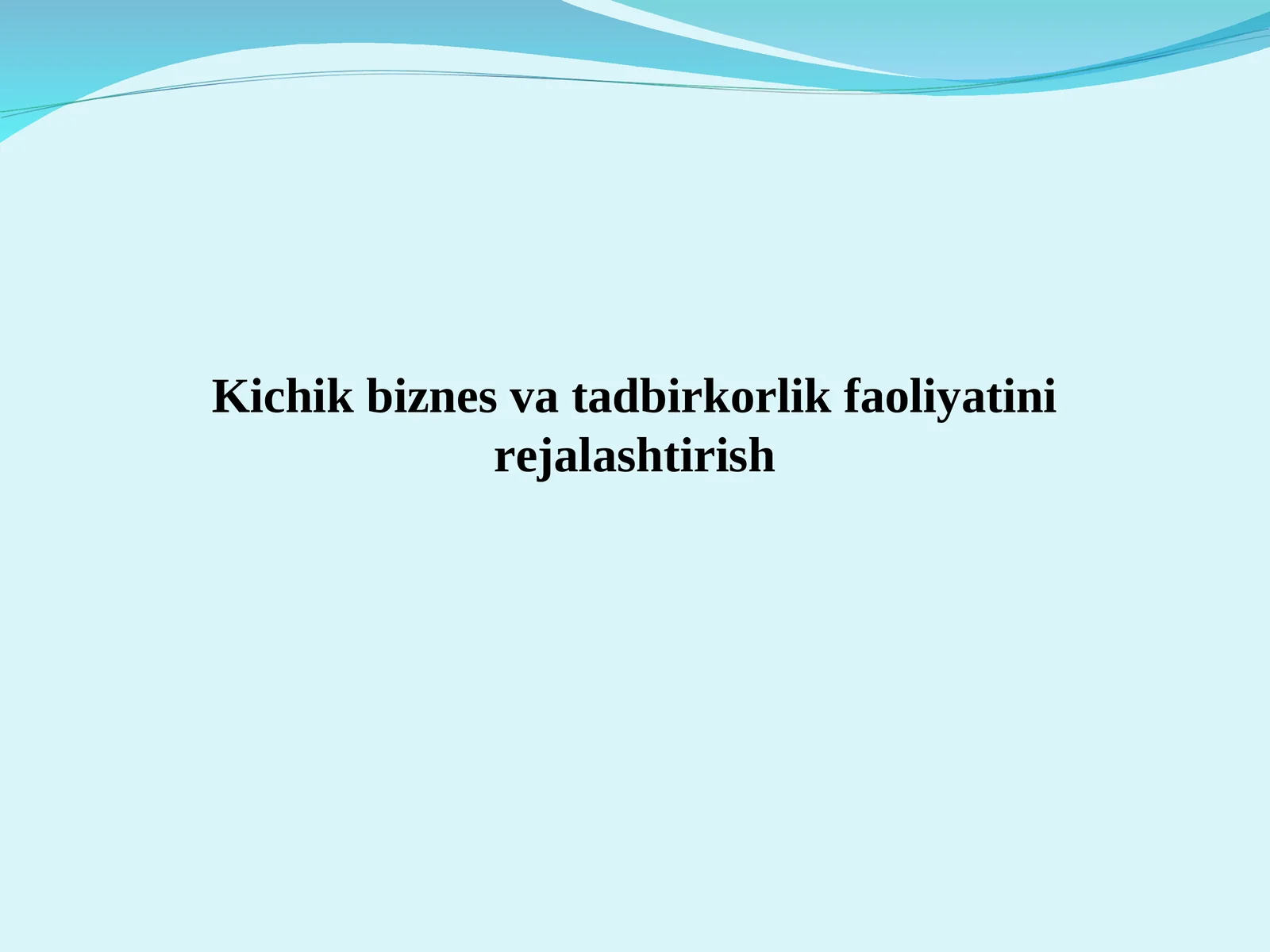 Kichik biznes va tadbirkorlik faoliyatini rejalashtirish