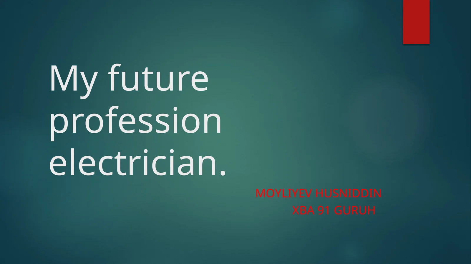 My future profession electrician