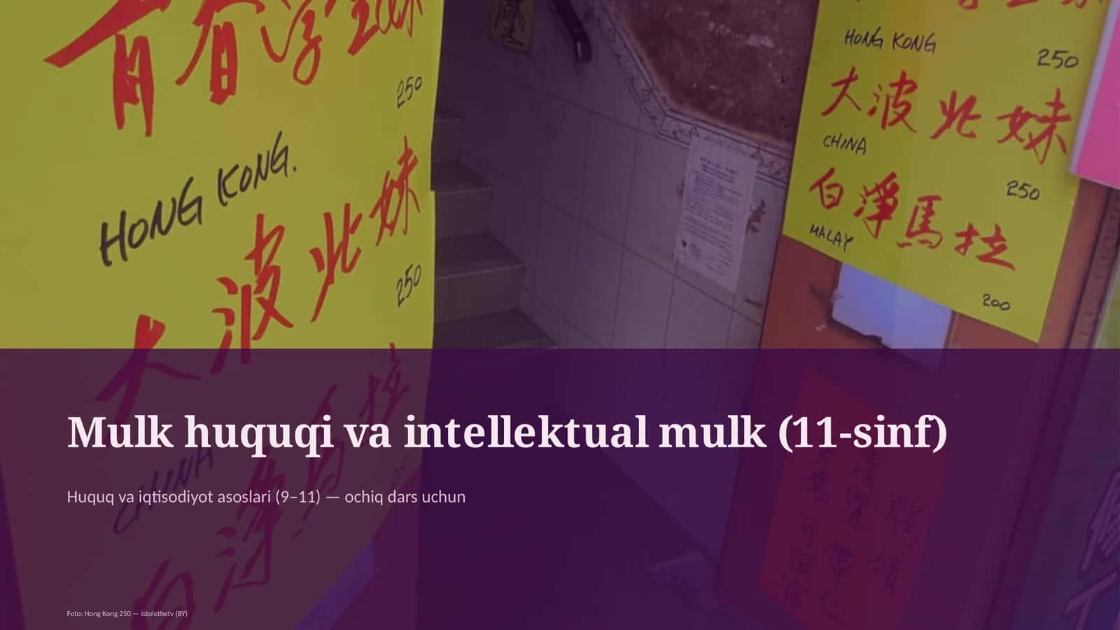 Mulk huquqi va intellektual mulk (11-sinf)