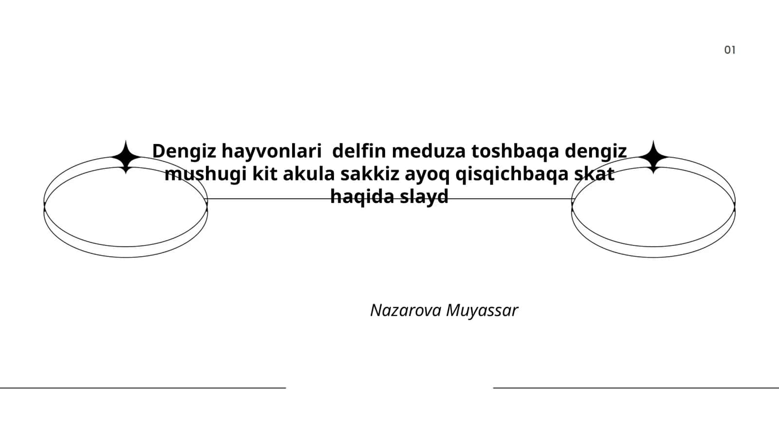 Dengiz hayvonlari