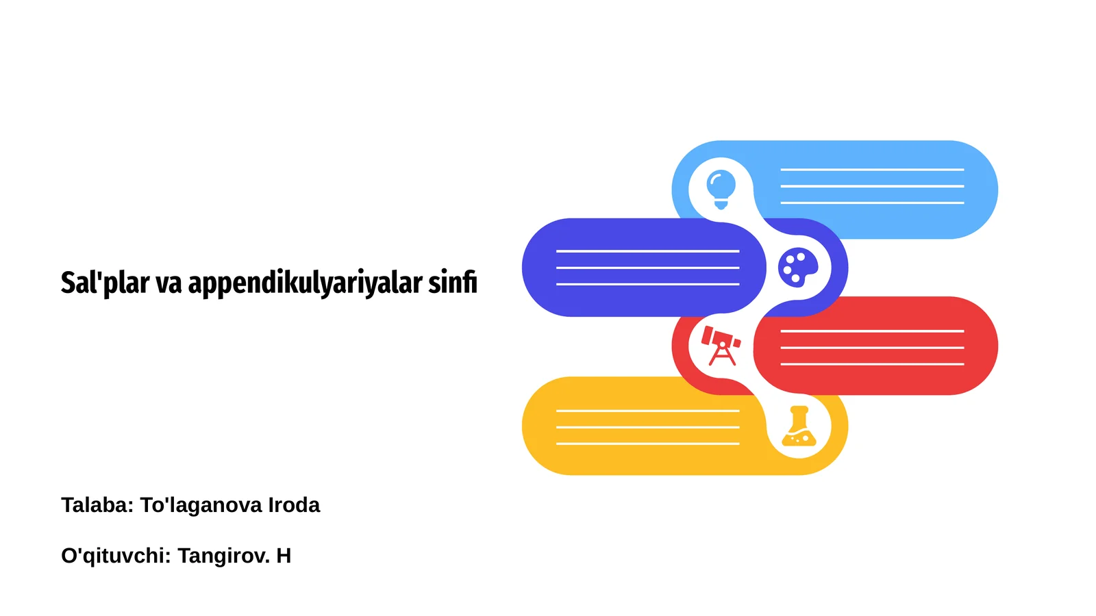 Sal'plar va appendikulyariyalar sinfi