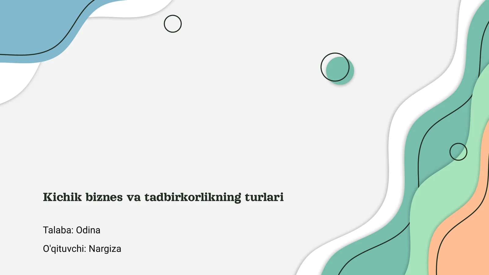 Kichik biznes va tadbirkorlikning turlari